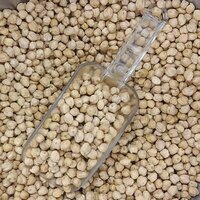 White Kabuli Chana