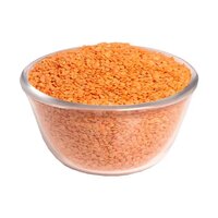 Organic Masoor Dal