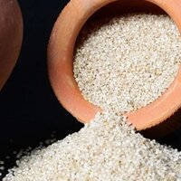 Short Grain Rice
