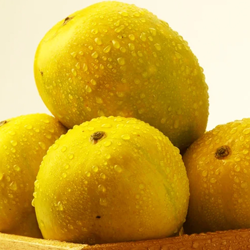 Fresh Alphonso Mangoes