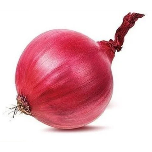 Fresh Organic Red Onion