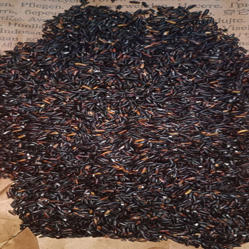 Common Pure Black Rice