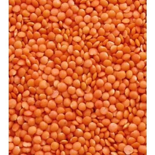 Red Lentils