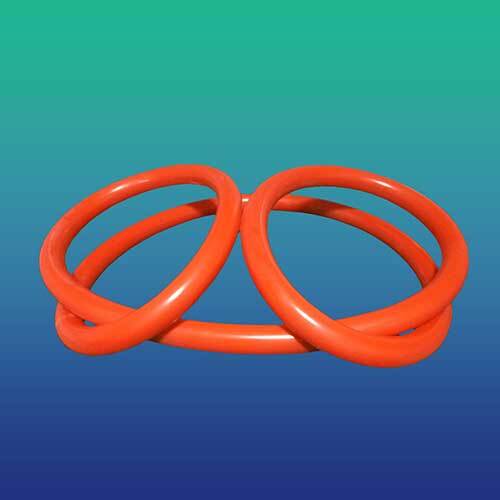 Autoclave Gasket