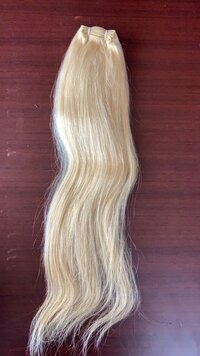 Blonde Hair Extension