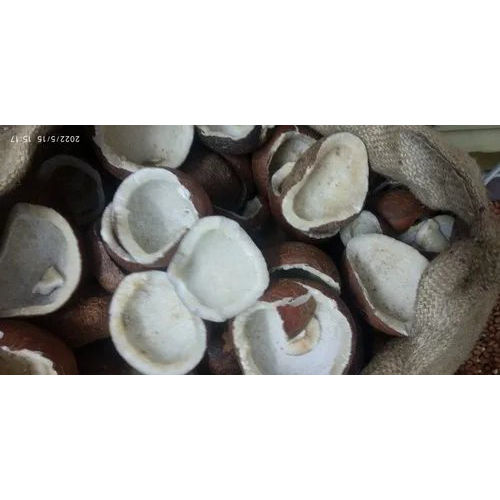 Dried Coconut Copra