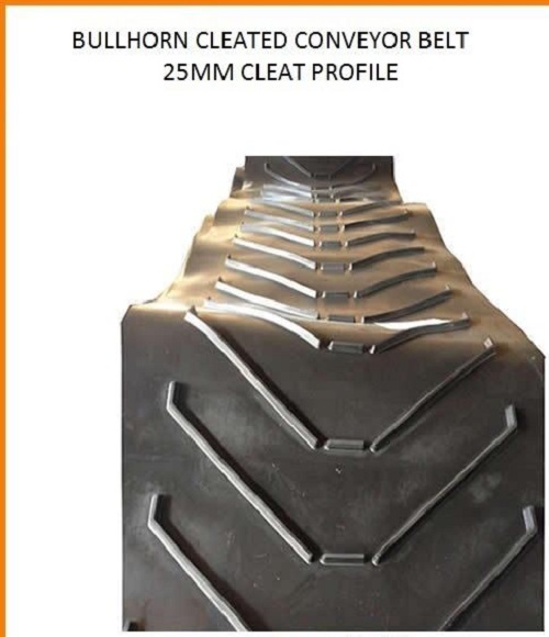 Belt Conveyors Dunlop Make