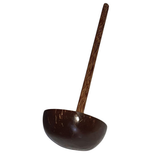 Coconut Shell Spoon