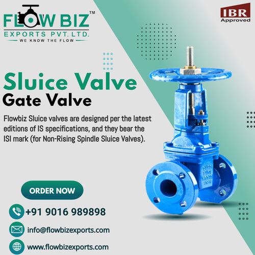 Sluice Valve