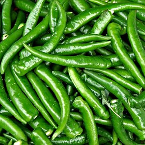 Green Chili - Seasoned Experience | Zesty, Fiery Flavor, Ideal for Salsas and Savory Dishes