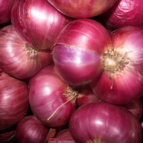 Seasoned Red Onion