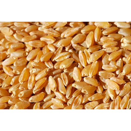 Natural Durum Wheat