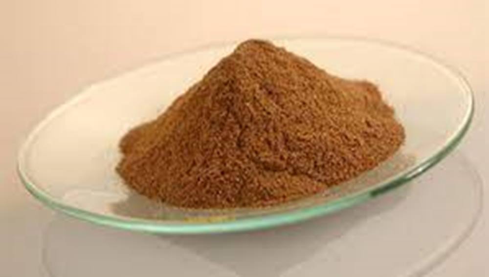 Fungal Alpha Amylase Powder
