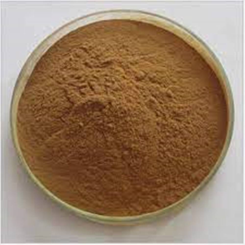 Fungal Alpha Amylase Powder