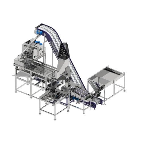 Automatic Cashew Nut Cutting Line