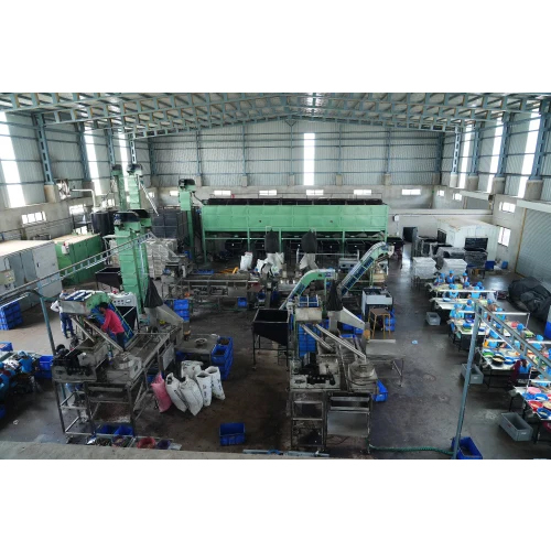 Fully Automatic Cashew Processing Machinery