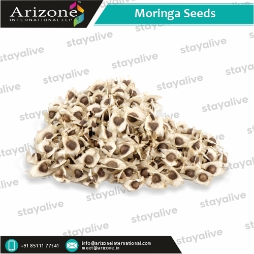 Moringa Seeds