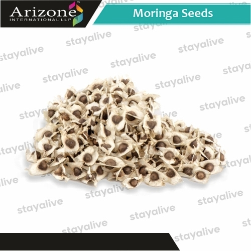 Moringa Seeds