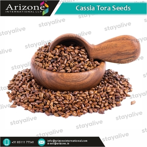 Cassia Tora Seeds