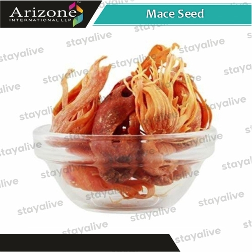 Mace Seed