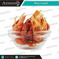 Mace Seed