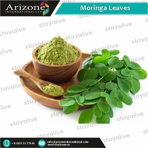 Moringa Leaves