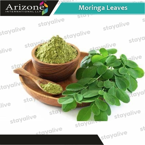 Moringa Leaves