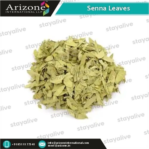 Herbal Product Senna Leaf