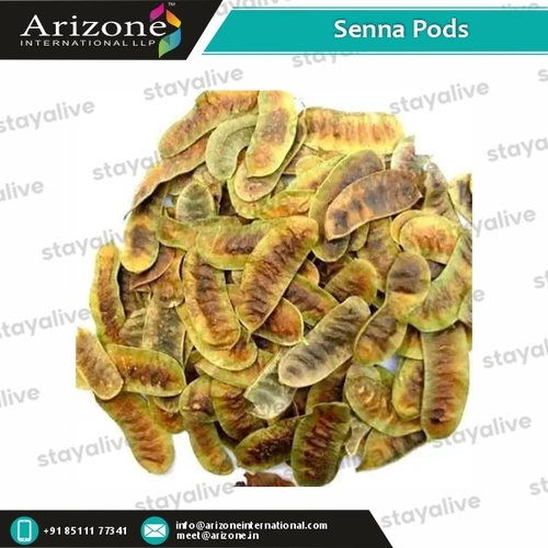 Senna Pods