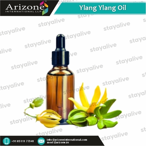 Ylang Ylang Oil