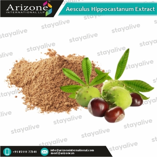 Aesculus Hippocastanum Extract