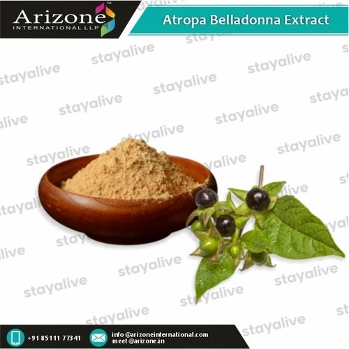 Botanical Product Atropa Belladonna Extract