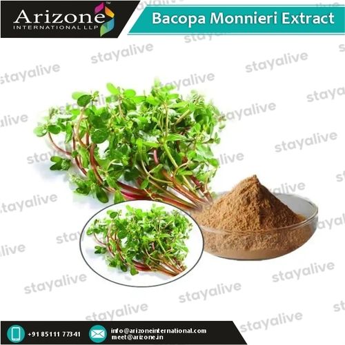 Herbal Product Bacopa Monnieri Extract