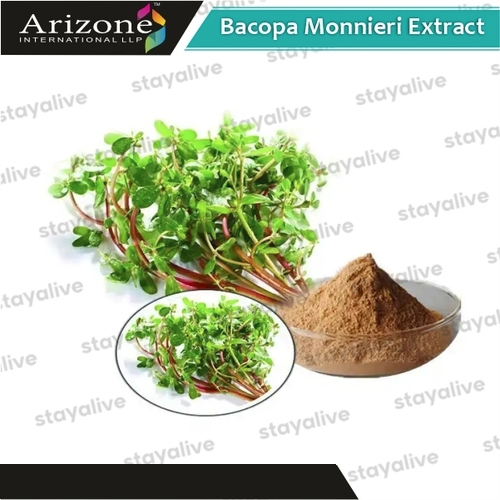 Bacopa Monnieri Extract - Grade: A