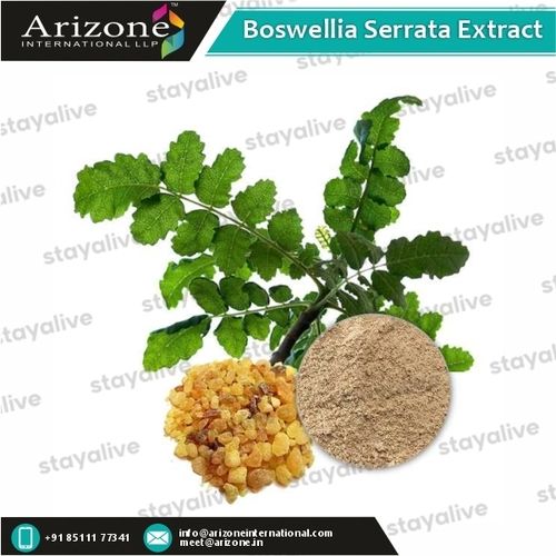 Boswellia Serrata Extract