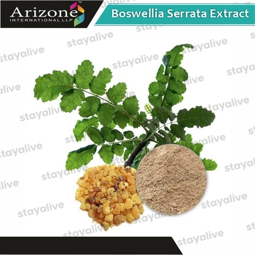 Boswellia Serrata Extract