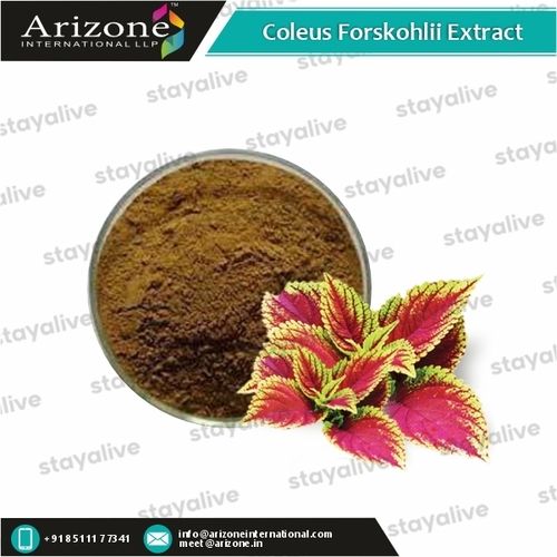 Coleus Forskohlii Extract