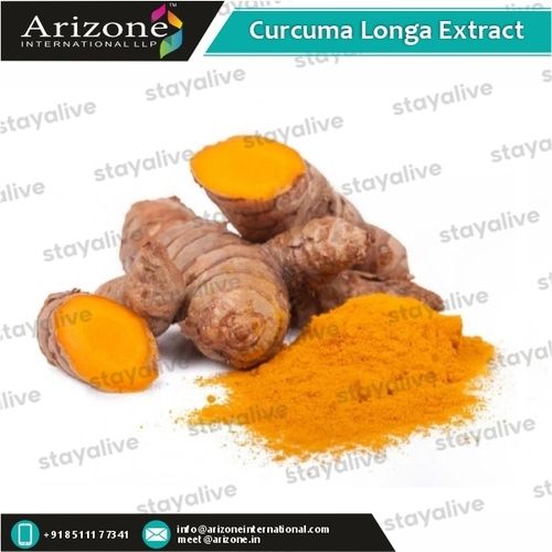 Curcuma Longa Extract