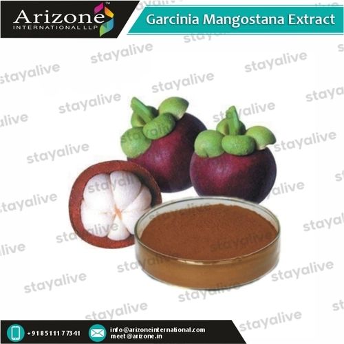 Garcinia Mangostana Extract