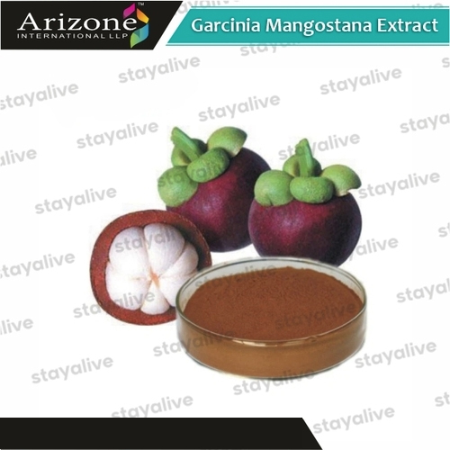 Garcinia Mangostana Extract