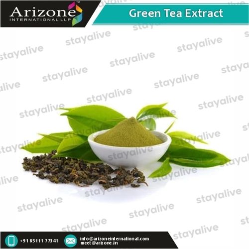 Green Tea Extract