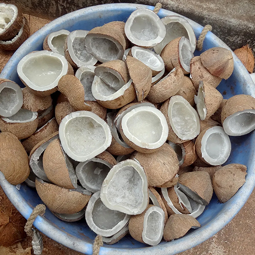 Fresh Coconut Copra - Whole Diamond Shape | Dried & Fresh Varieties, Common Cultivation Type