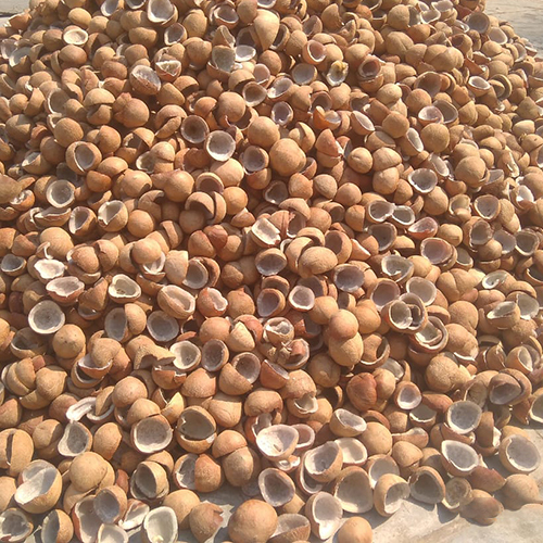 Sulpher Less Coconut Copra - Whole Husk, Diamond Shape | Dried and Fresh Varieties for Versatile Culinary Uses