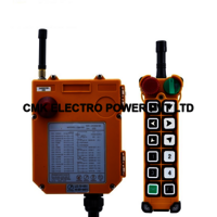 F24-12D Wireless Remote Controller