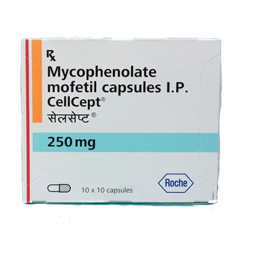 250Mg Mycophenolate Mofetil Capsules Ip General Medicines