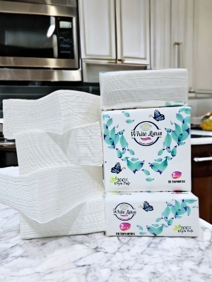 30X30 TIssue Napkins 2Ply