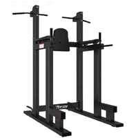 Vertical Knee Raise Chin Up Grade: Commercial Use