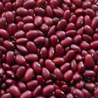 Red Kidney Beans - Organic Legumes, 30 Kg & 50 Kg Packaging | High Purity, First-Class Quality, Rich Red Color, Ideal for Indian Cuisine