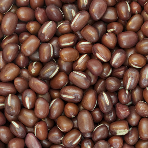 Adzuki Beans