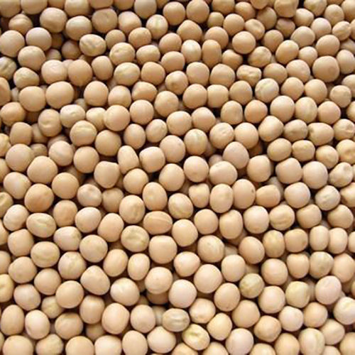 White Pea Beans